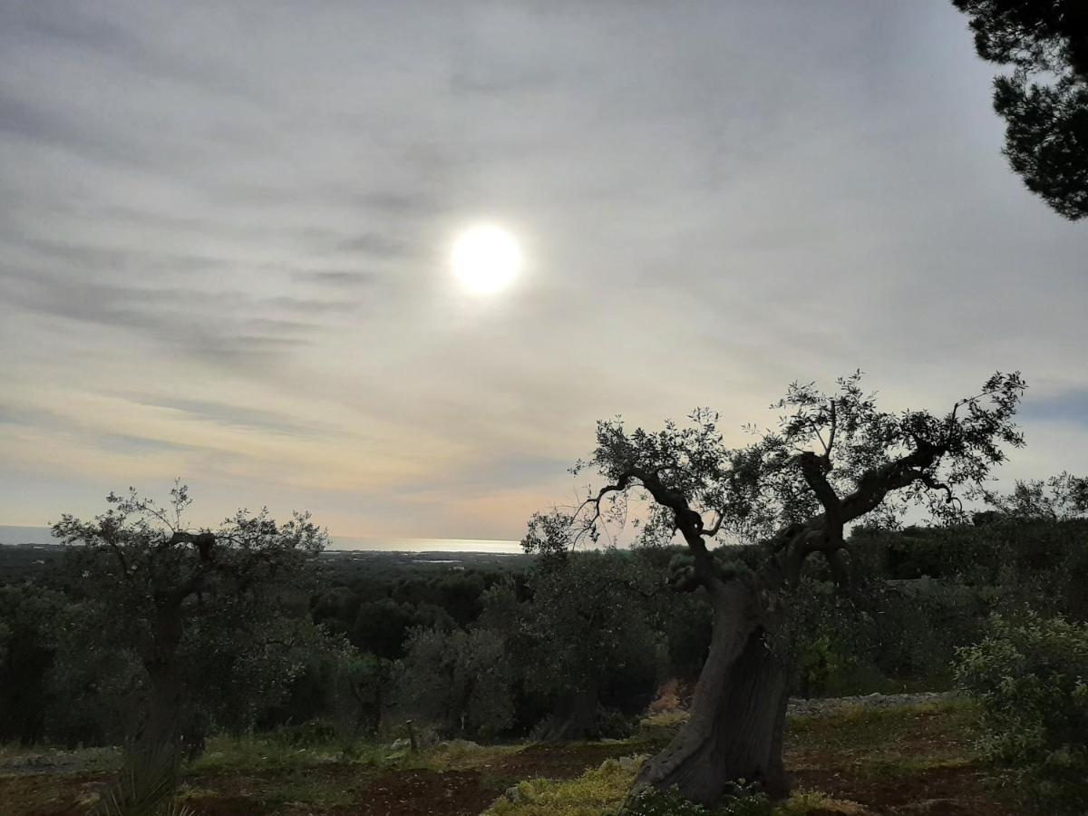 Alla Panoramica Monopoli Bagian luar foto