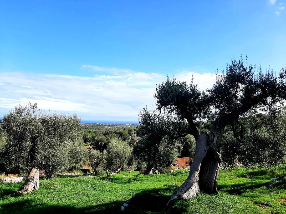 Alla Panoramica Monopoli Bagian luar foto