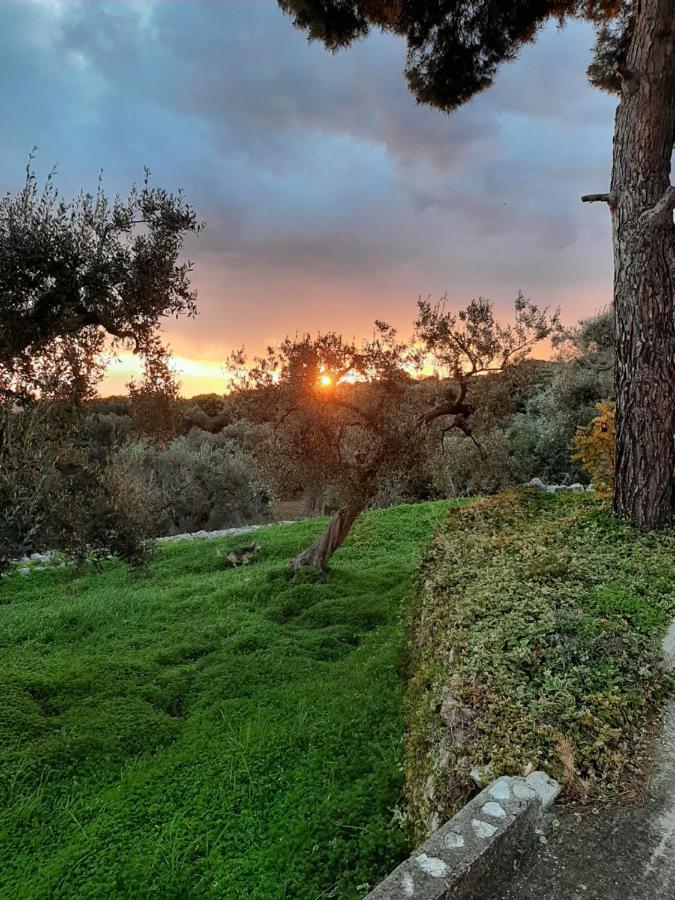 Alla Panoramica Monopoli Bagian luar foto