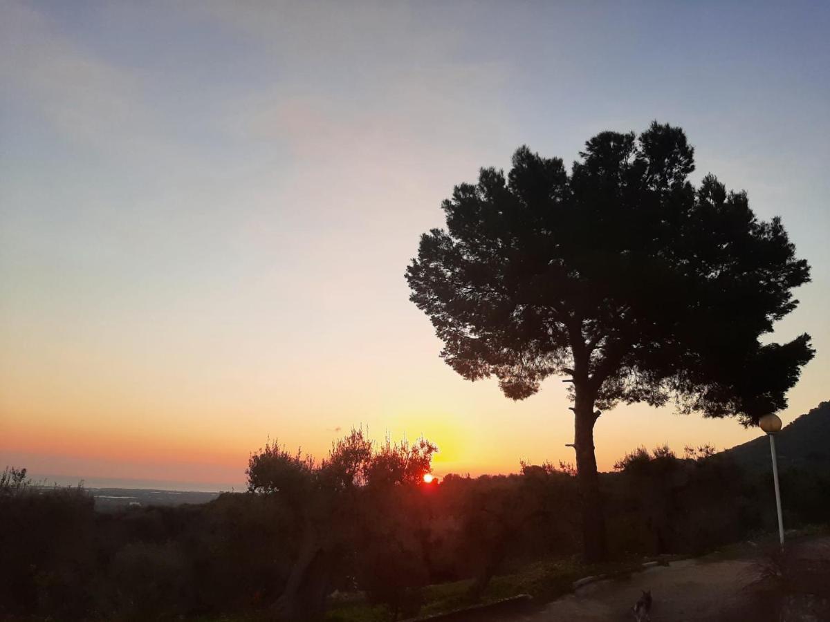 Alla Panoramica Monopoli Bagian luar foto