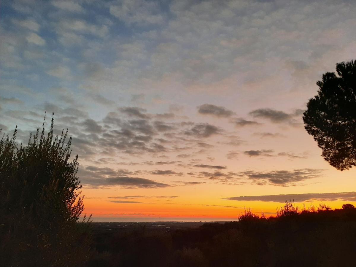 Alla Panoramica Monopoli Bagian luar foto