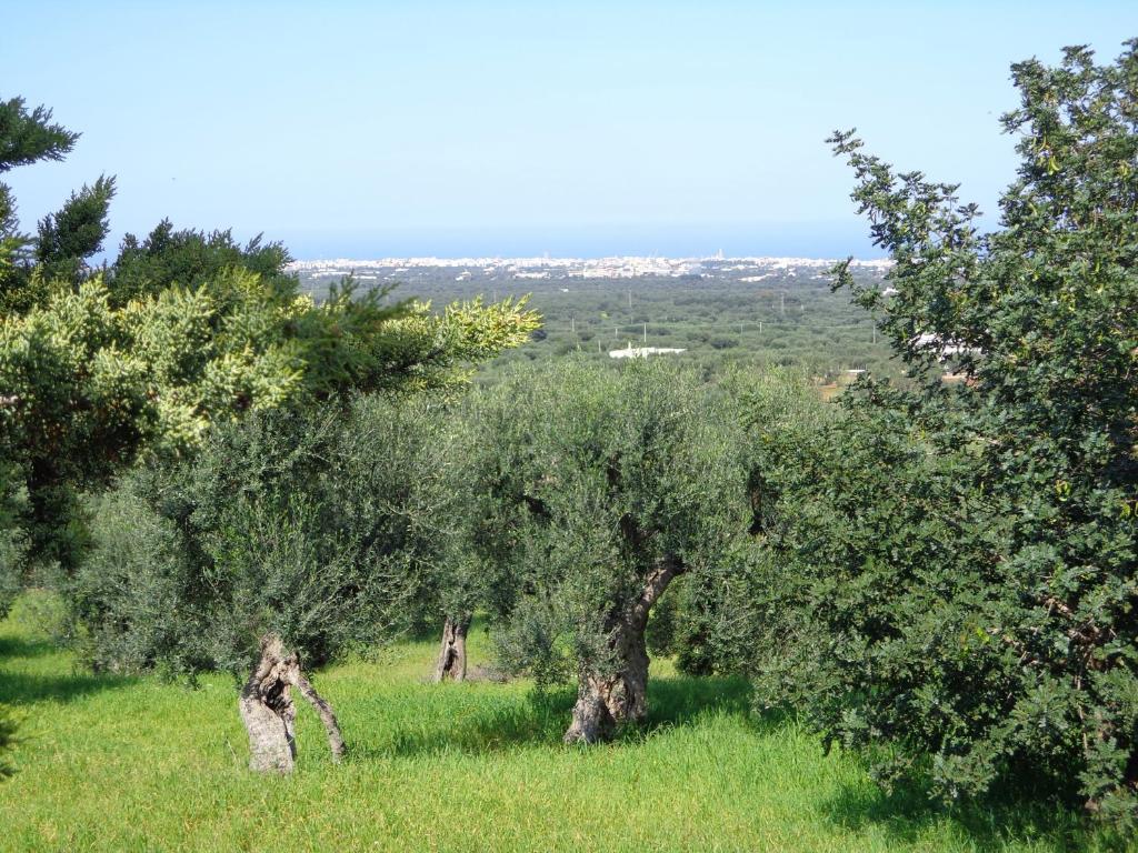 Alla Panoramica Monopoli Bagian luar foto