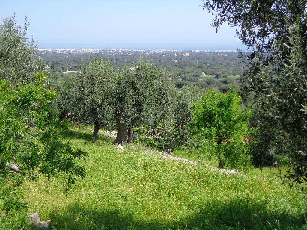 Alla Panoramica Monopoli Ruang foto