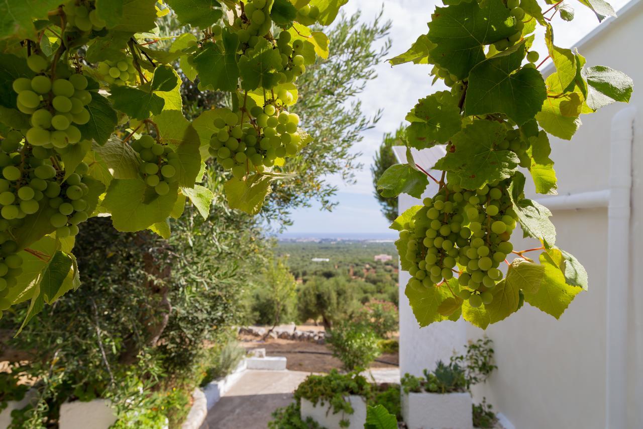 Alla Panoramica Monopoli Bagian luar foto